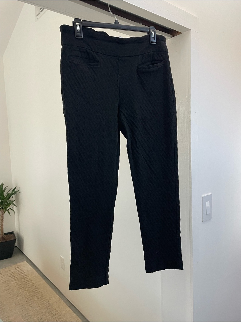Crown & Ivy Black Women's Pull-On Textured Pants